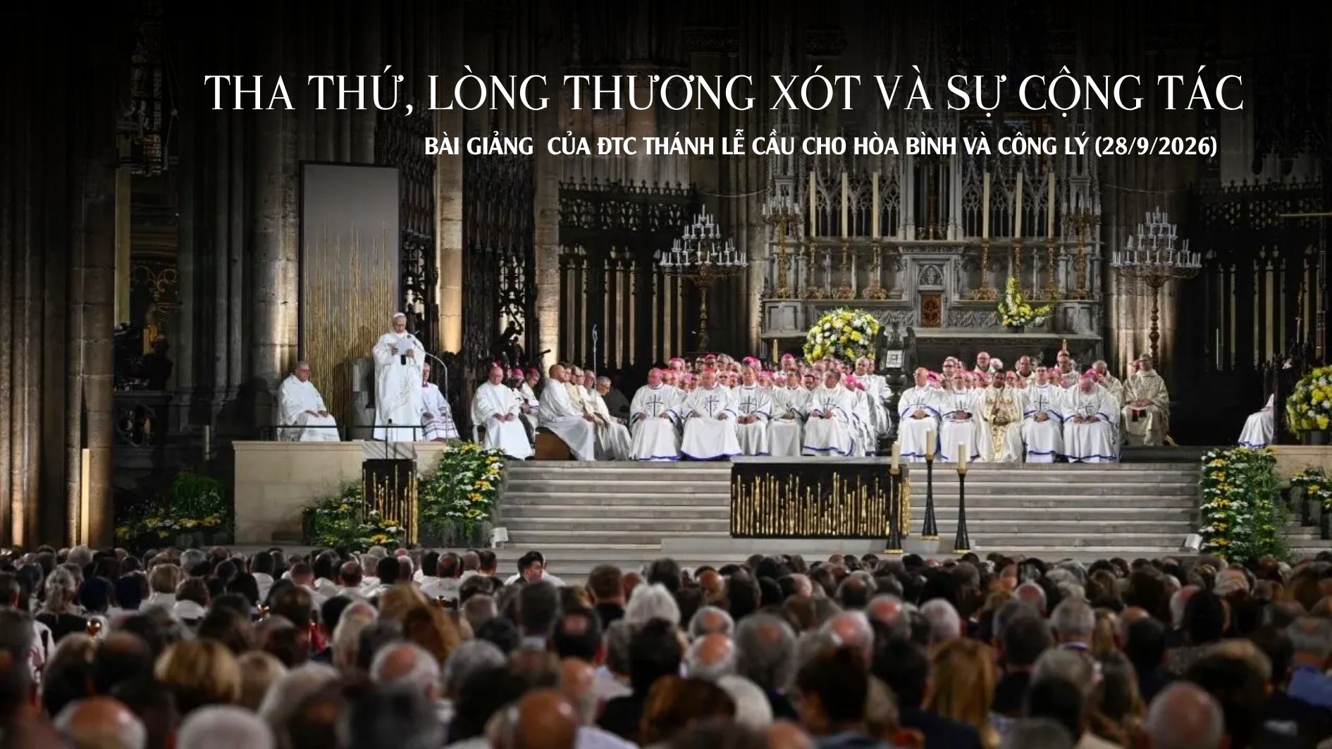 Tha thứ, lòng thương xót và sự cộng tác | Bài giảng Thánh lễ cầu cho hòa bình và công lý 